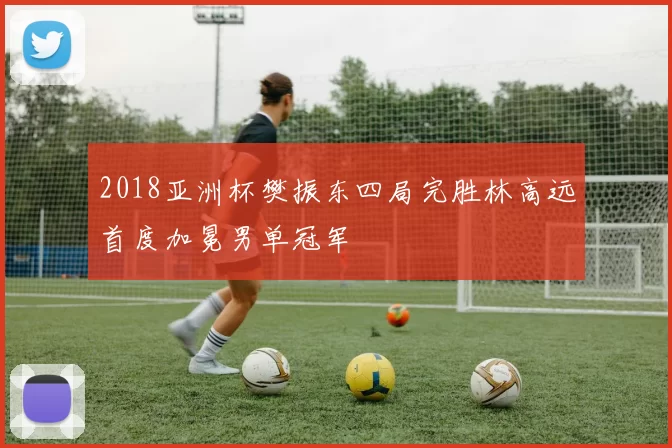 2018亚洲杯樊振东四局完胜林高远首度加冕男单冠军