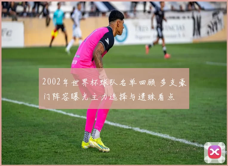 2002年世界杯球队名单回顾 多支豪门阵容曝光主力选择与遗珠看点