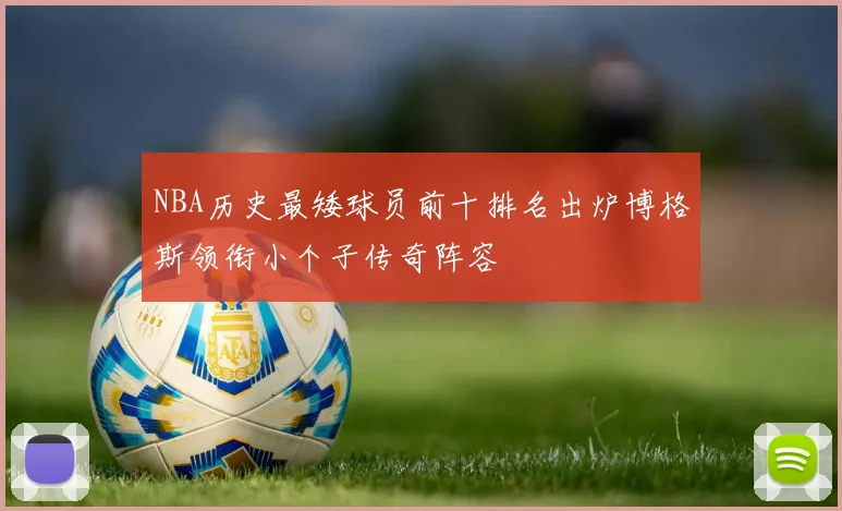NBA历史最矮球员前十排名出炉博格斯领衔小个子传奇阵容